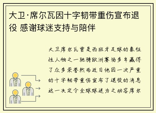 大卫·席尔瓦因十字韧带重伤宣布退役 感谢球迷支持与陪伴 大卫·席尔瓦因十字韧带重伤宣布退役 感谢球迷支持与陪伴